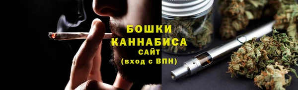 сатива Пестово