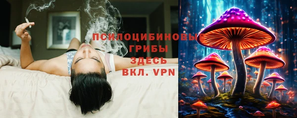 мескалин Чекалин