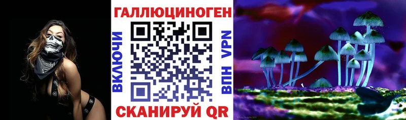 цены   Бежецк  Галлюциногенные грибы Psilocybine cubensis 